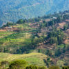 Tropics_Fields_Houses_Kathmandu_Nepal_544088_1920x1080