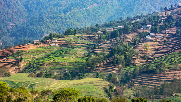 Tropics_Fields_Houses_Kathmandu_Nepal_544088_1920x1080